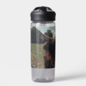 ブラックハイランドスコットランド牛の放牧ヴィンテージレトロ ウォーターボトル (正面)