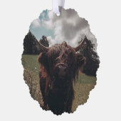 ブラックハイランドスコットランド牛の放牧ヴィンテージレトロ オーナメントカード (左)