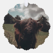 ブラックハイランドスコットランド牛の放牧ヴィンテージレトロ オーナメントカード (正面)