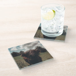 ブラックハイランドスコットランド牛の放牧ヴィンテージレトロ ガラスコースター