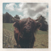 ブラックハイランドスコットランド牛の放牧ヴィンテージレトロ ガラスコースター (正面)