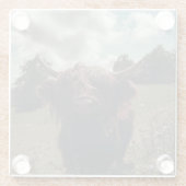 ブラックハイランドスコットランド牛の放牧ヴィンテージレトロ ガラスコースター (裏面)