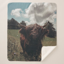 ブラックハイランドスコットランド牛の放牧ヴィンテージレトロ シェルパブランケット