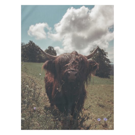 ブラックハイランドスコットランド牛の放牧ヴィンテージレトロ テーブルクロス (正面)
