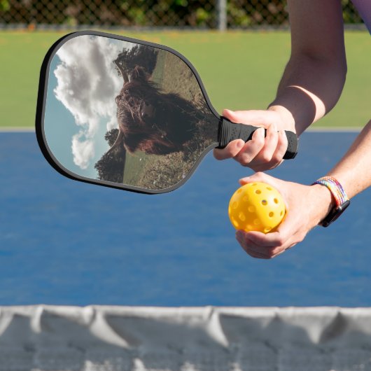 ブラックハイランドスコットランド牛の放牧ヴィンテージレトロ ピックルボールラケット (インサイチュ)