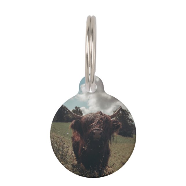 ブラックハイランドスコットランド牛の放牧ヴィンテージレトロ ペット　ネームタグ (正面)