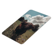 ブラックハイランドスコットランド牛の放牧ヴィンテージレトロ マグネット (左側)