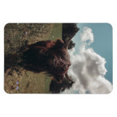 ブラックハイランドスコットランド牛の放牧ヴィンテージレトロ マグネット (横)