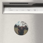 ブラックハイランドスコットランド牛の放牧ヴィンテージレトロ マグネット (インサイチュ (食洗機))