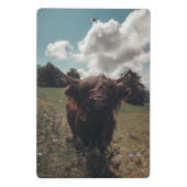 ブラックハイランドスコットランド牛の放牧ヴィンテージレトロ ミニクリップボード (裏面)