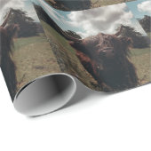 ブラックハイランドスコットランド牛の放牧ヴィンテージレトロ ラッピングペーパー (ロールコーナー)