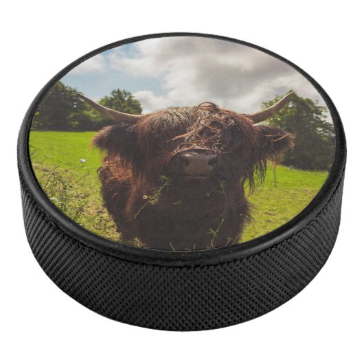 ブラックハイランド牛の放牧グリーンフィールドサンライト アイスホッケーパック (3/4)