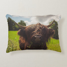 ブラックハイランド牛の放牧グリーンフィールドサンライト アクセントクッション