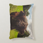 ブラックハイランド牛の放牧グリーンフィールドサンライト アクセントクッション (正面(垂直))