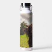 ブラックハイランド牛の放牧グリーンフィールドサンライト ウォーターボトル (正面)