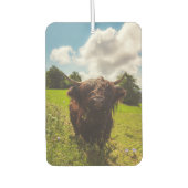 ブラックハイランド牛の放牧グリーンフィールドサンライト カーエアーフレッシュナー (正面)