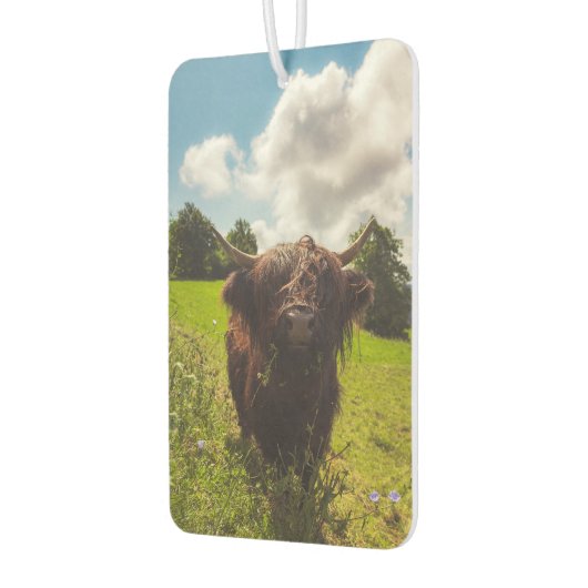 ブラックハイランド牛の放牧グリーンフィールドサンライト カーエアーフレッシュナー (左)