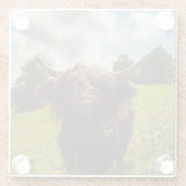 ブラックハイランド牛の放牧グリーンフィールドサンライト ガラスコースター (裏面)