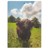 ブラックハイランド牛の放牧グリーンフィールドサンライト クリップボード (裏面)