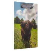 ブラックハイランド牛の放牧グリーンフィールドサンライト クリップボード (右)