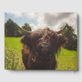 ブラックハイランド牛の放牧グリーンフィールドサンライト ゲストブック (裏面)