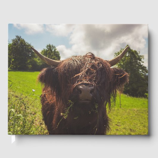 ブラックハイランド牛の放牧グリーンフィールドサンライト ゲストブック (正面)