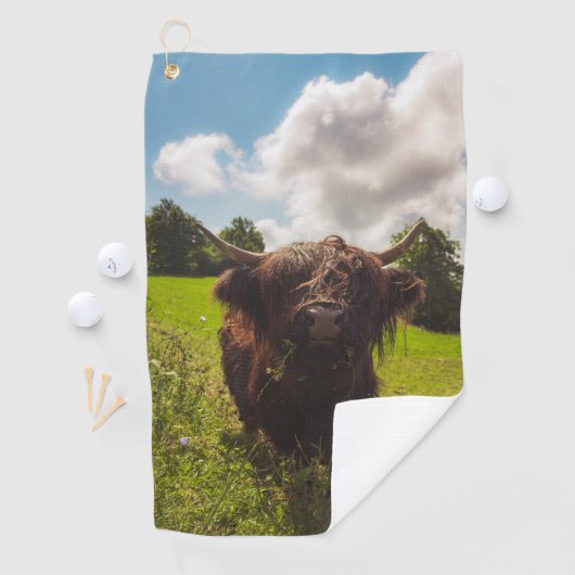 ブラックハイランド牛の放牧グリーンフィールドサンライト ゴルフタオル (インサイチュ)