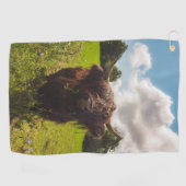 ブラックハイランド牛の放牧グリーンフィールドサンライト ゴルフタオル (横)