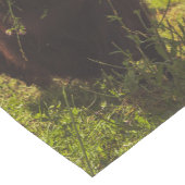 ブラックハイランド牛の放牧グリーンフィールドサンライト ショートテーブルランナー (コーナー)