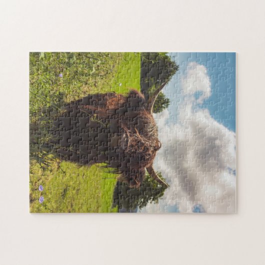 ブラックハイランド牛の放牧グリーンフィールドサンライト ジグソーパズル (横)