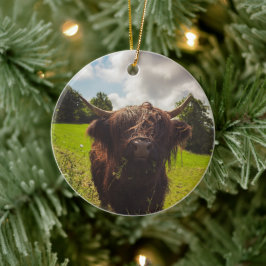 ブラックハイランド牛の放牧グリーンフィールドサンライト セラミックオーナメント
