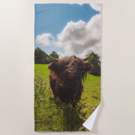 ブラックハイランド牛の放牧グリーンフィールドサンライト ビーチタオル (正面)