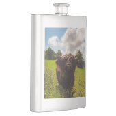 ブラックハイランド牛の放牧グリーンフィールドサンライト フラスク (右)