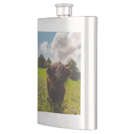 ブラックハイランド牛の放牧グリーンフィールドサンライト フラスク