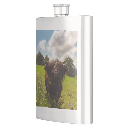ブラックハイランド牛の放牧グリーンフィールドサンライト フラスク (左)