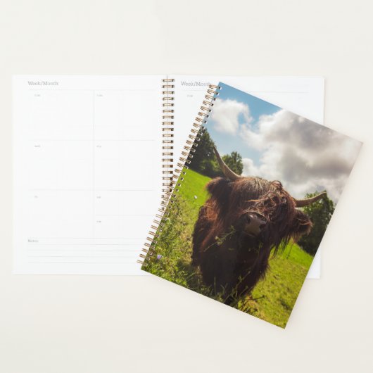 ブラックハイランド牛の放牧グリーンフィールドサンライト プランナー手帳 (ディスプレー)