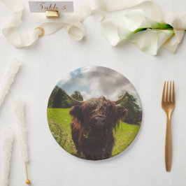 ブラックハイランド牛の放牧グリーンフィールドサンライト ペーパープレート
