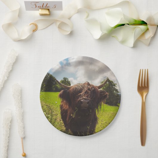 ブラックハイランド牛の放牧グリーンフィールドサンライト ペーパープレート (ウェディング)