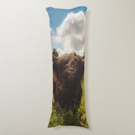 ブラックハイランド牛の放牧グリーンフィールドサンライト ボディピロー