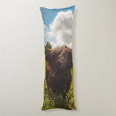 ブラックハイランド牛の放牧グリーンフィールドサンライト ボディピロー (裏面 (縦))
