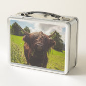 ブラックハイランド牛の放牧グリーンフィールドサンライト メタルランチボックス (裏面)
