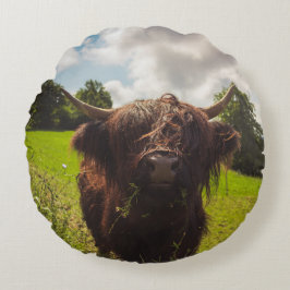 ブラックハイランド牛の放牧グリーンフィールドサンライト ラウンドクッション