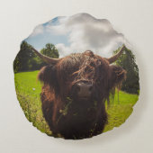 ブラックハイランド牛の放牧グリーンフィールドサンライト ラウンドクッション (裏面)