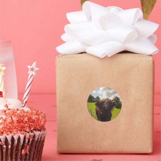 ブラックハイランド牛の放牧グリーンフィールドサンライト ラウンドシール (パーティー)