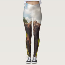 ブラックハイランド牛の放牧グリーンフィールドサンライト レギンス