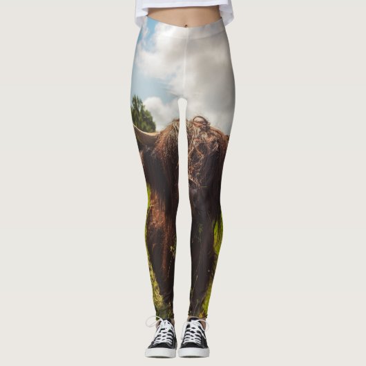 ブラックハイランド牛の放牧グリーンフィールドサンライト レギンス (正面)