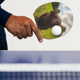 ブラックハイランド牛の放牧グリーンフィールドサンライト 卓球ラケット