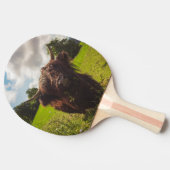 ブラックハイランド牛の放牧グリーンフィールドサンライト 卓球ラケット (横)