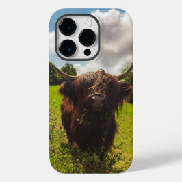 ブラックハイランド牛の放牧グリーンフィールドサンライト Case-Mate iPhone 14 PROケース