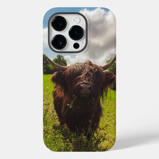 ブラックハイランド牛の放牧グリーンフィールドサンライト Case-Mate iPhoneケース (裏面)